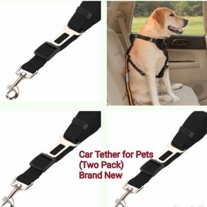 Seatbelt tether for dogs